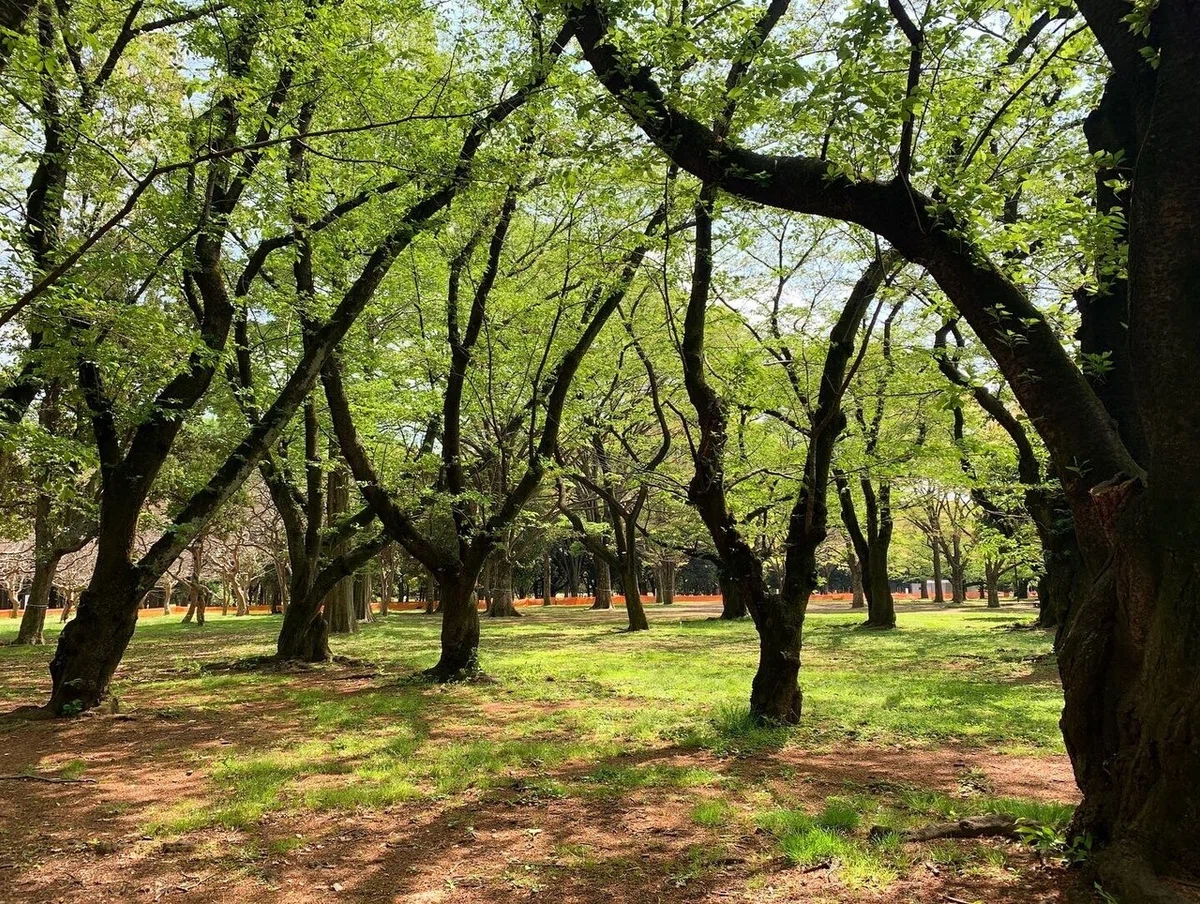 画像7