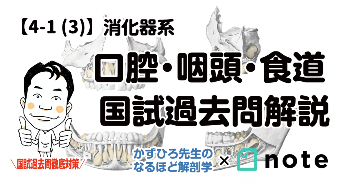器質性構音障害治療のポイント 口腔顎顔面領域の異常と言語障害