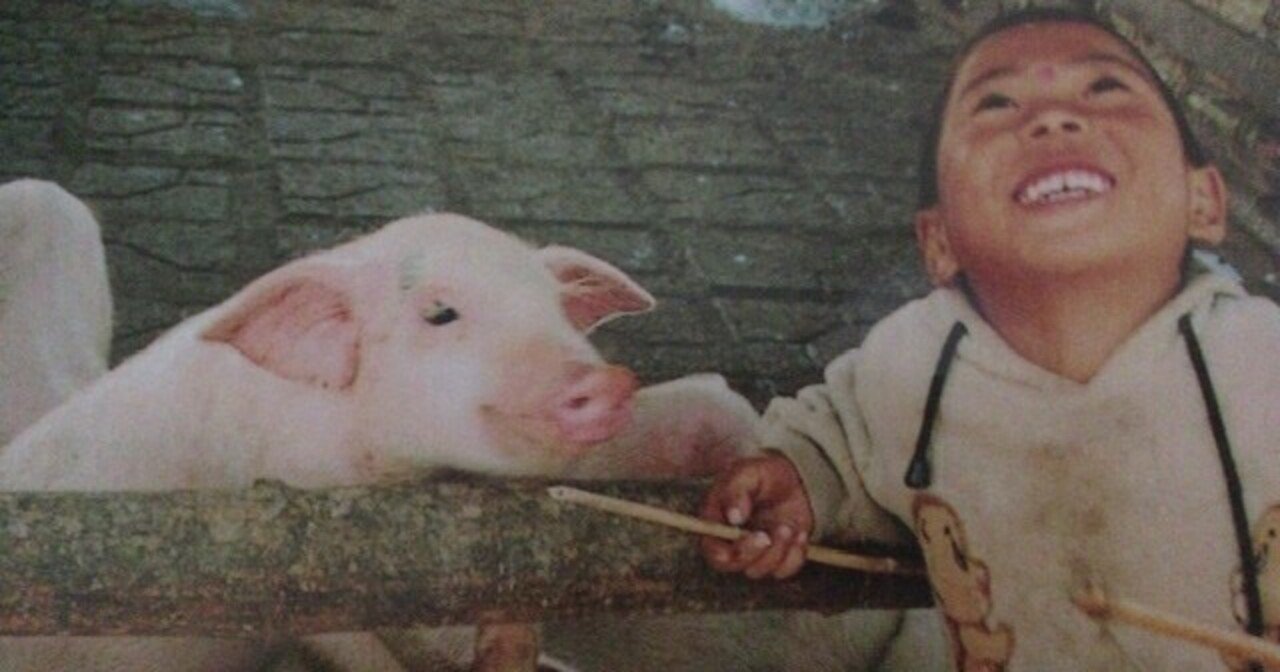 サブカル大蔵経621伊藤真理 雲南の豚と人々 Jtb 永江雅邦 Note