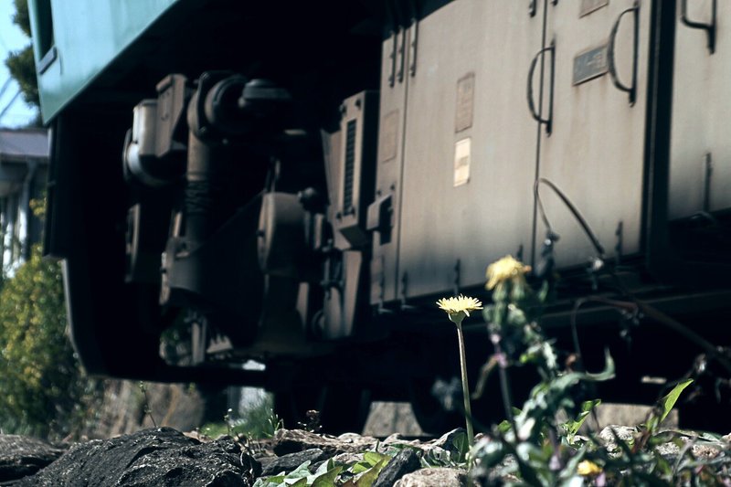 春色の汽車に乗って海に行ってきた 極楽寺から稲村ヶ崎へ古戦場を歩く 21 03 14 10 15 スナップ寅さん Note