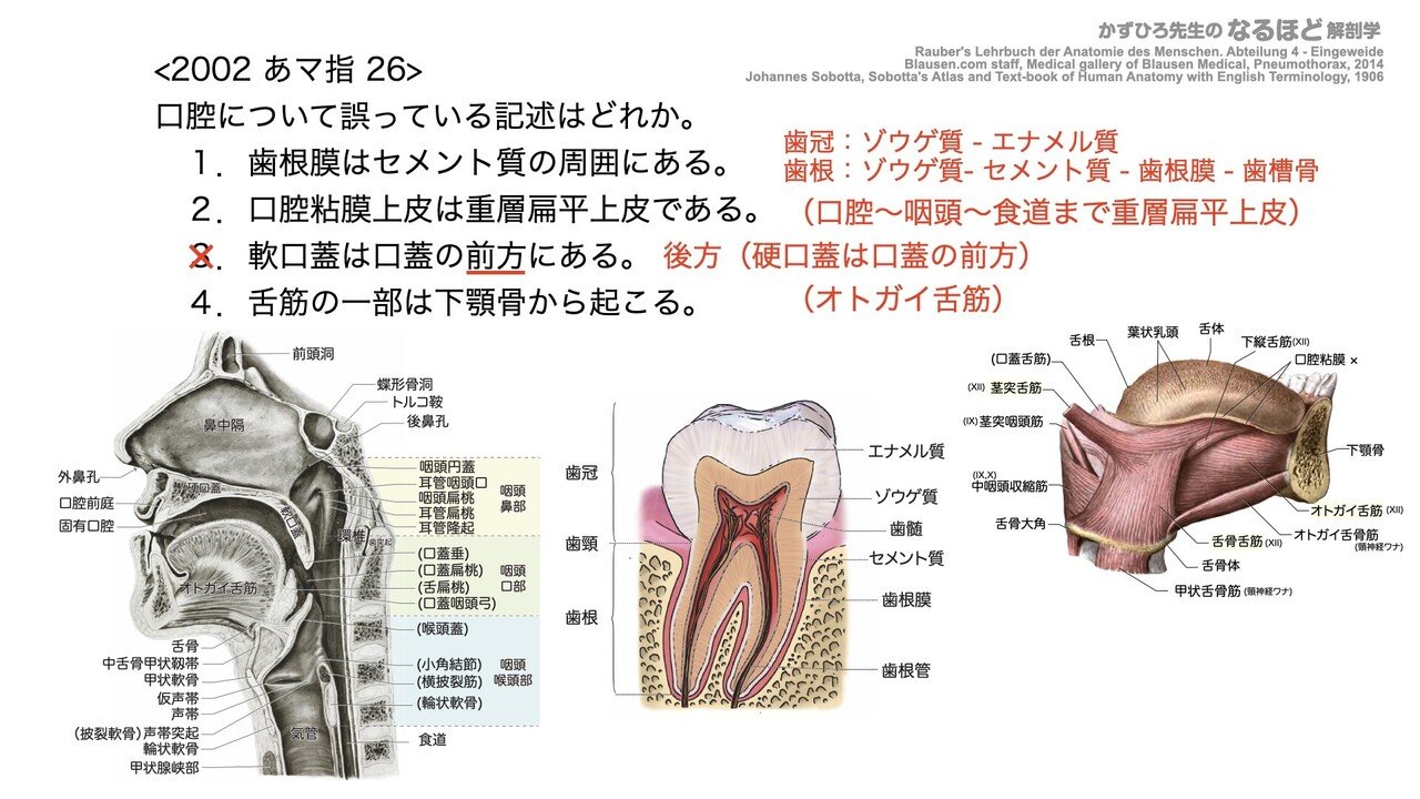 お得セット 口腔解剖学 神経学 本