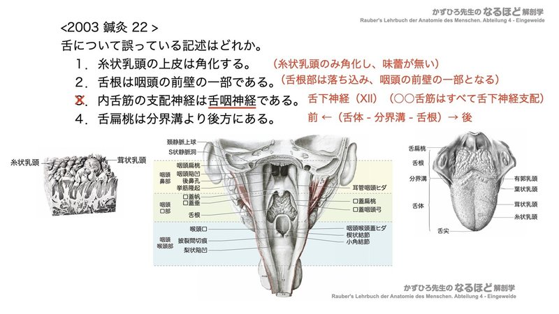 【徹底的国試対策】4-1 消化器系 - 口腔・咽頭・食道.159