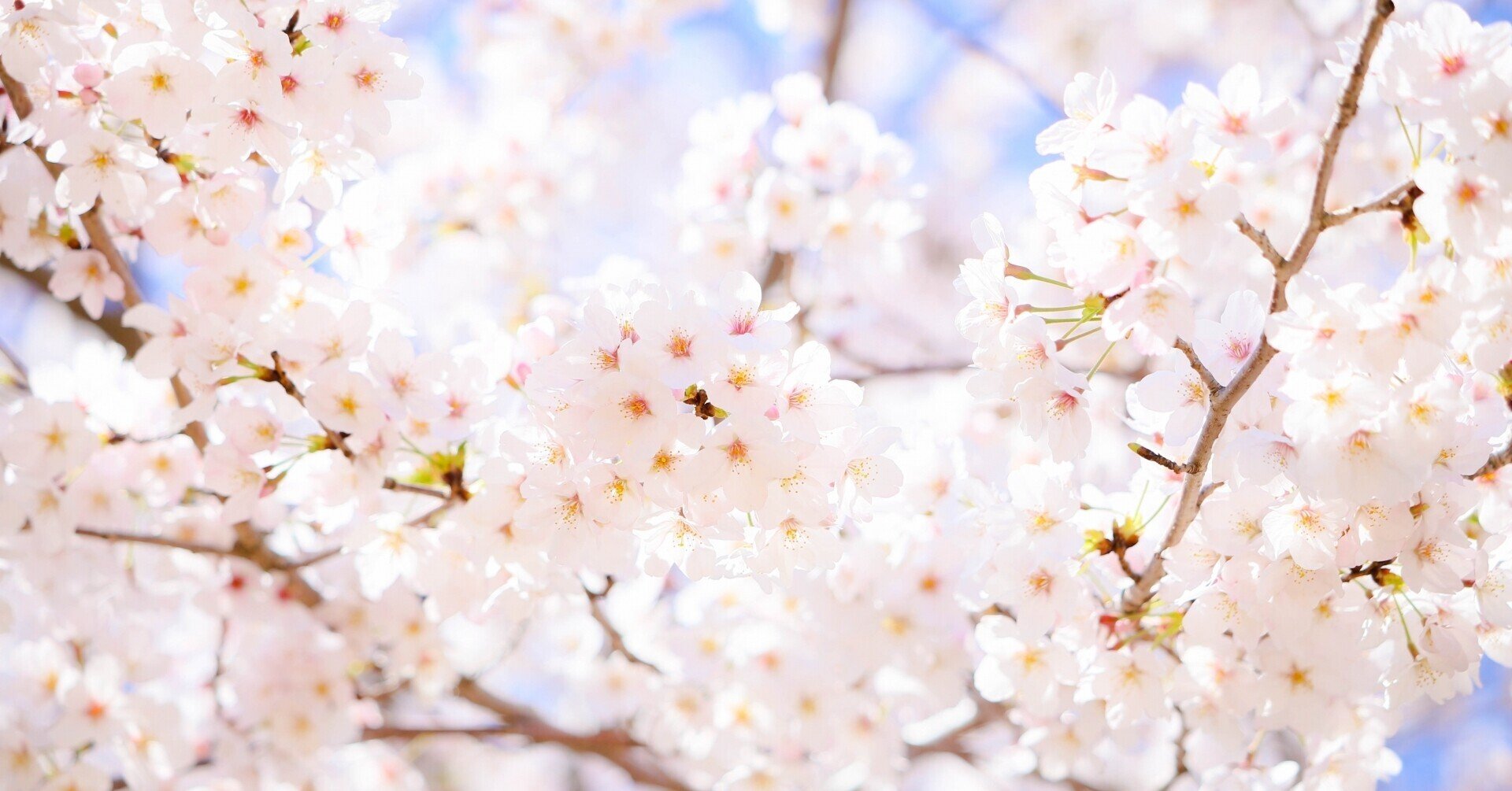 アバターでバーチャル卒業式ってどんなもの 実際にやってみました 株式会社vrc公式note Note アバターでバーチャル卒業式ってどんなもの 実際にやってみました 株式会社vrc公式note Note