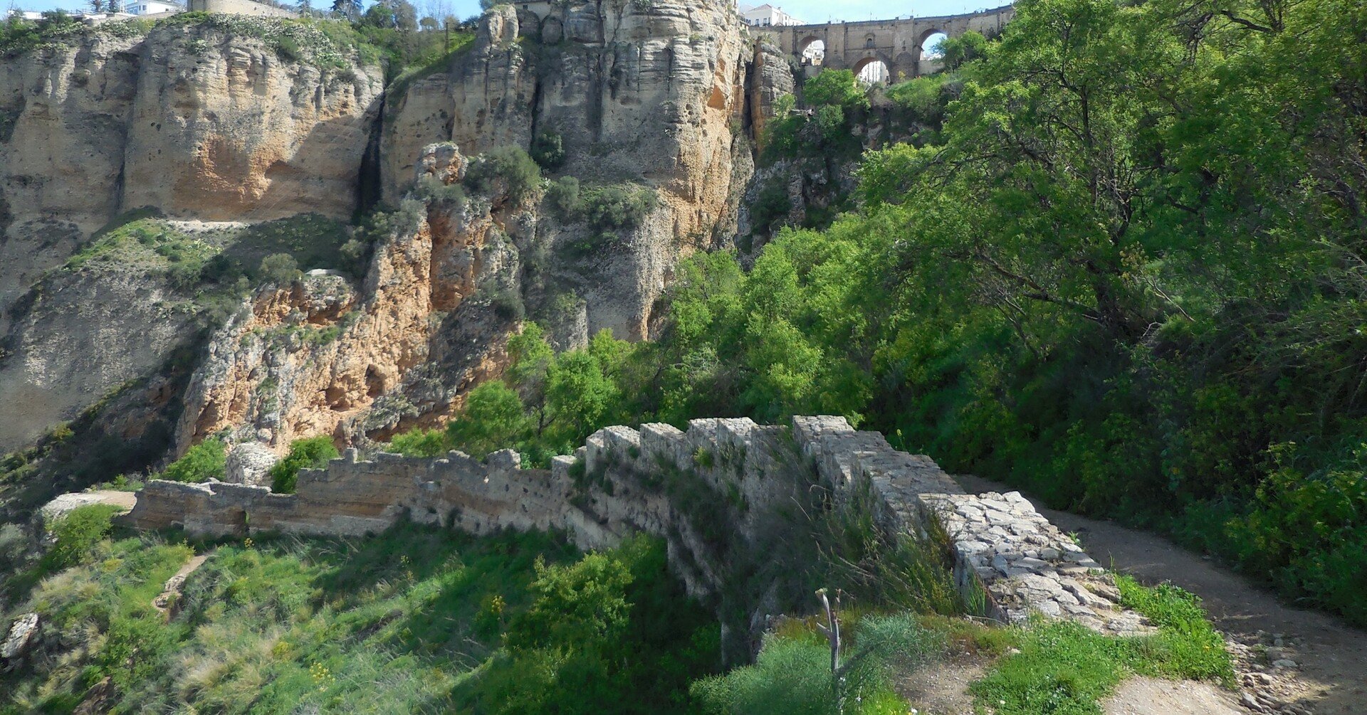 心にはアクセルとブレーキがあります それを同時に踏んだら 心はどうなりますか 信田雄一郎 Note