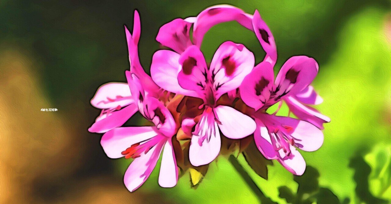 4月13日 誕生花は桃色天竺葵 誕生花短歌 御子柴 流歌 Note 4月13日 誕生花は桃色天竺葵 誕生花短歌 御子柴 流歌 Note