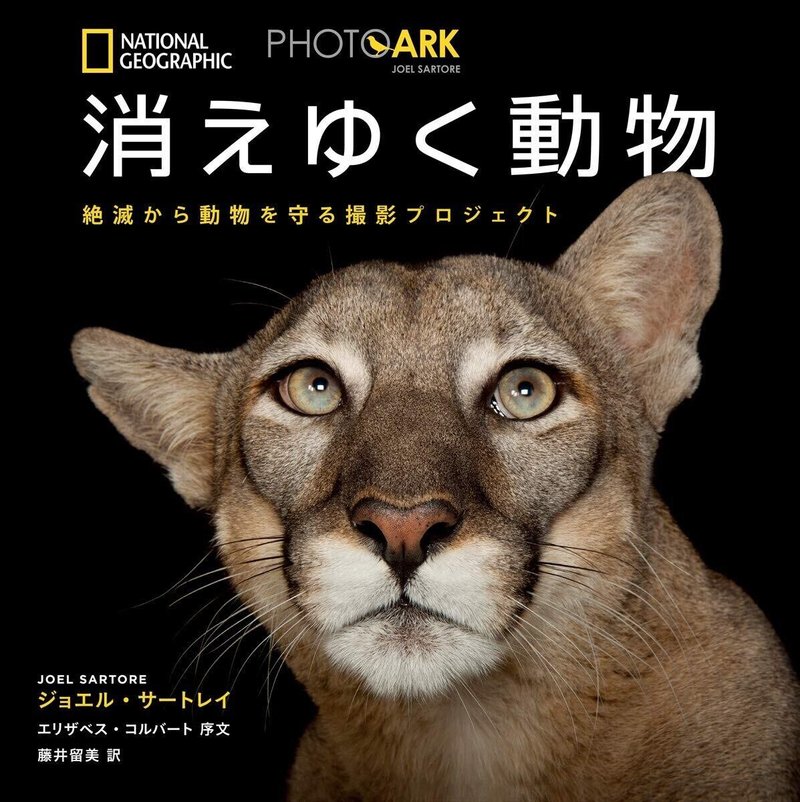 白と黒の背景に野生動物の魅力が映える唯一無二の写真集 Ficovet Note