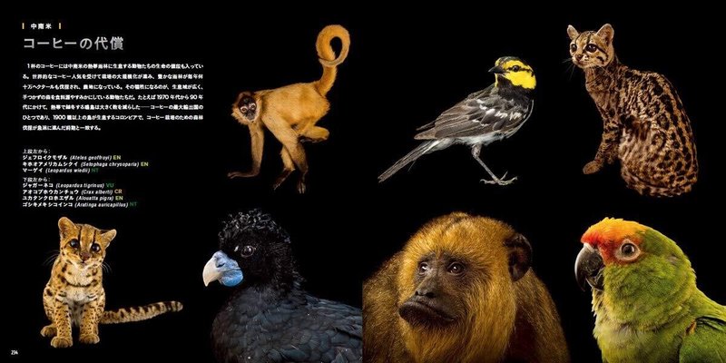 白と黒の背景に野生動物の魅力が映える唯一無二の写真集 Ficovet Note