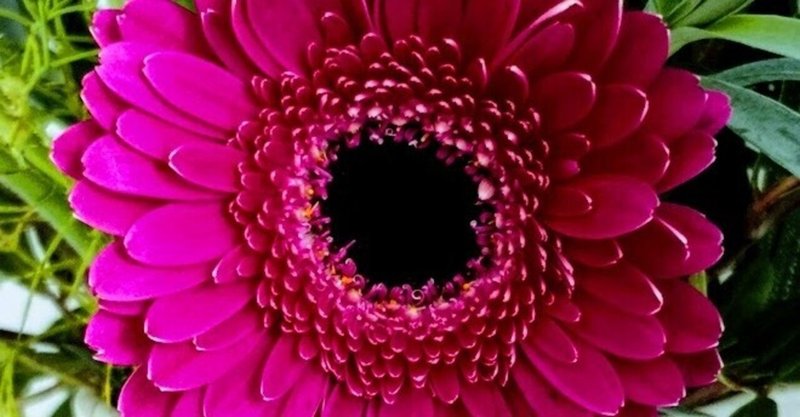 主婦ニート 子供部屋ニートに告ぐ 本当に働いたら負けなの 風の時代の生き方 働き方 ミカリュス Note