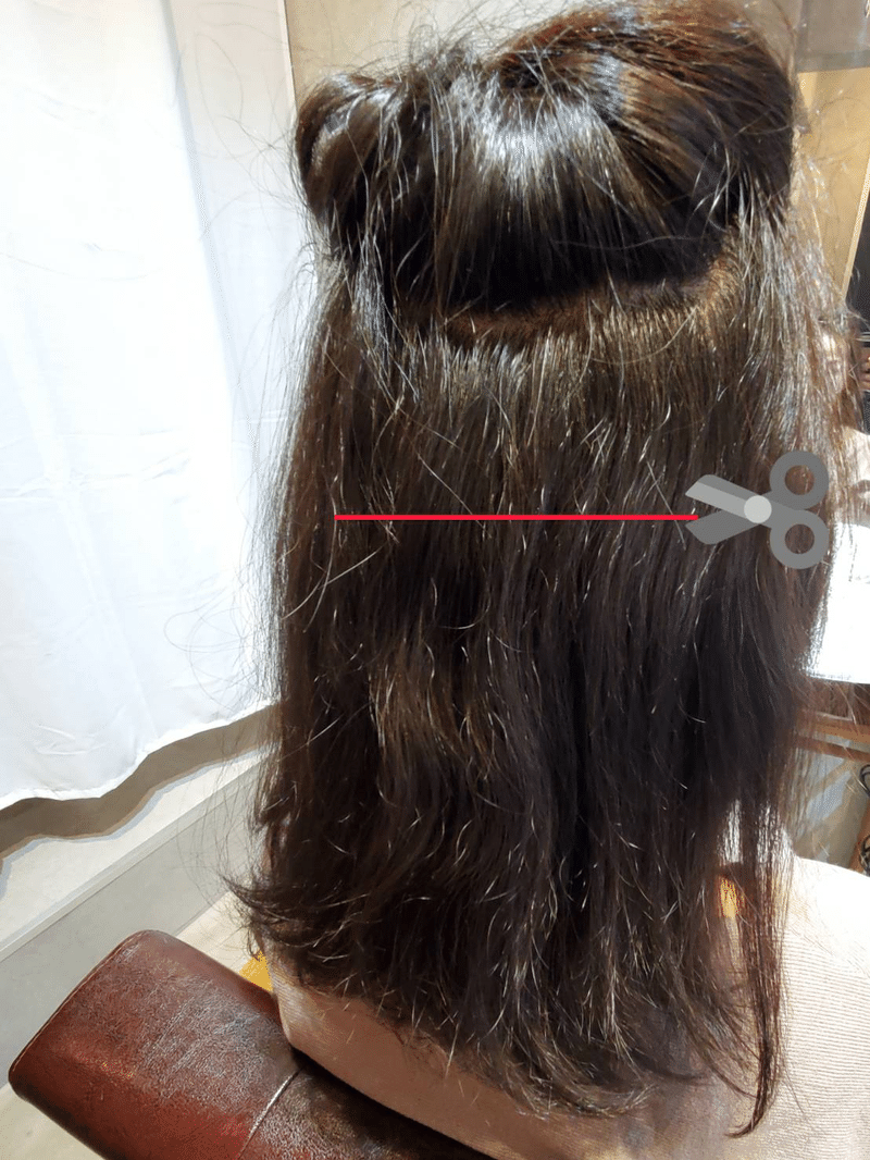 多毛 癖毛の方が美容室で言ってはならない事 Lesliens 加藤 至 Note