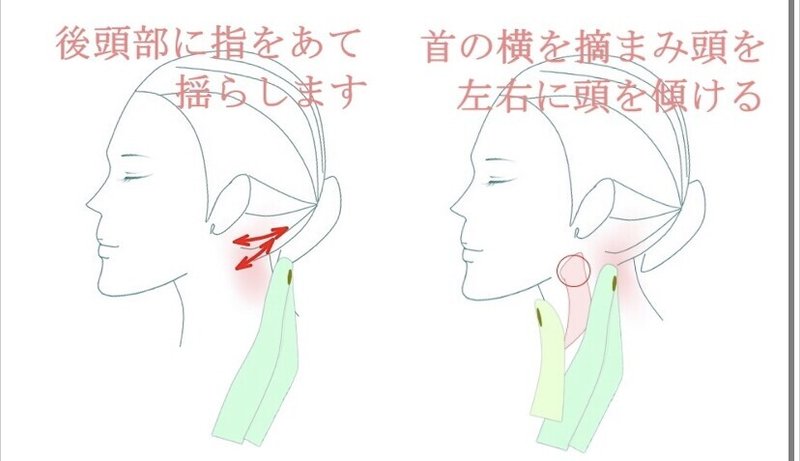 太い首を細く引き締める方法 胸鎖乳突筋トレーニング お顔の整体師 戸塚哲春 Note