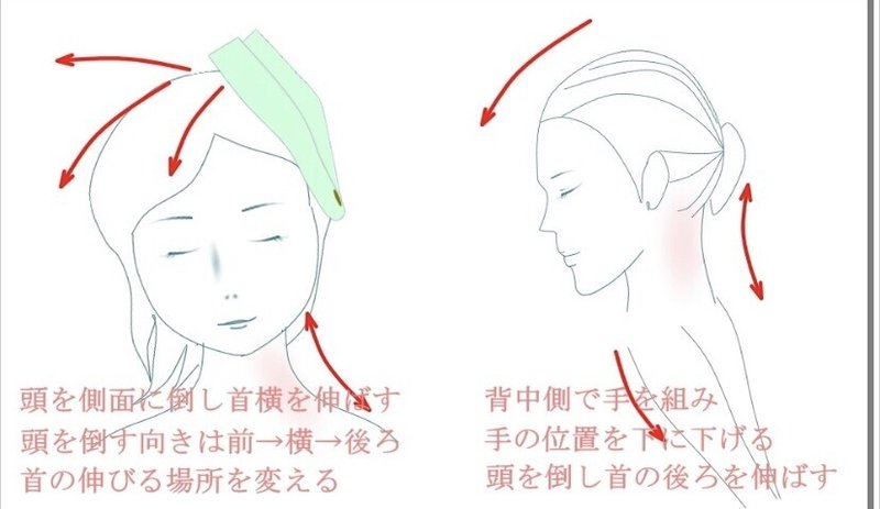 太い首を細く引き締める方法 胸鎖乳突筋トレーニング お顔の整体師 戸塚哲春 Note