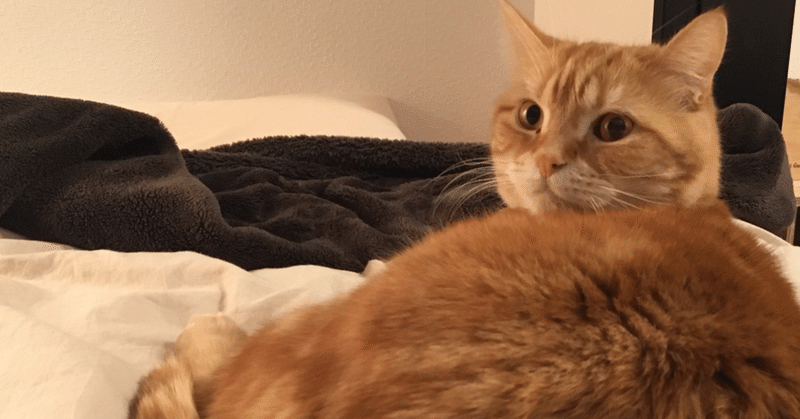 あだ名 の新着タグ記事一覧 Note つくる つながる とどける