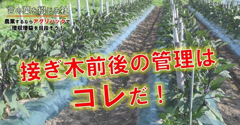 第３４話 ナスの台木品種と選び方 Mc Kammer 編集者 農業漫画と映画を作ります ファンドマネージャー データサイエンティスト Note