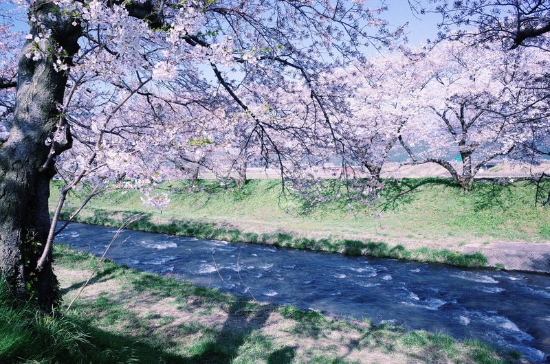 春の匂いがするアルバム みち Note