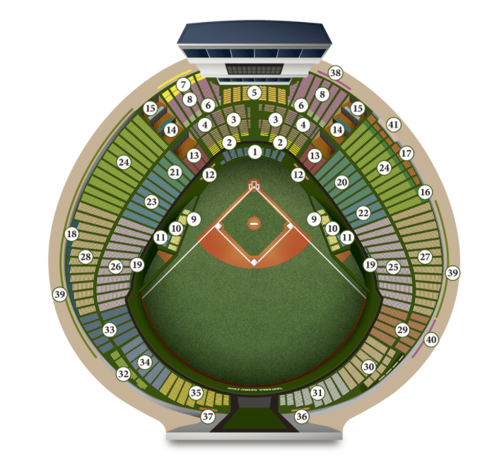 【セブンイレブン発券】5/5 西武 vs 東北楽天 西武応援席側 レフト外野指定席 2枚 即決 観戦・応援ルール | 埼玉西武ライオンズ
