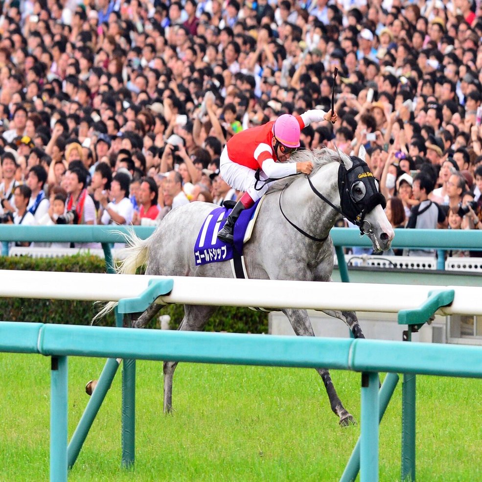 大人気ゲーム ウマ娘 で話題沸騰中 東スポで振り返るゴールドシップ伝説 東スポnote