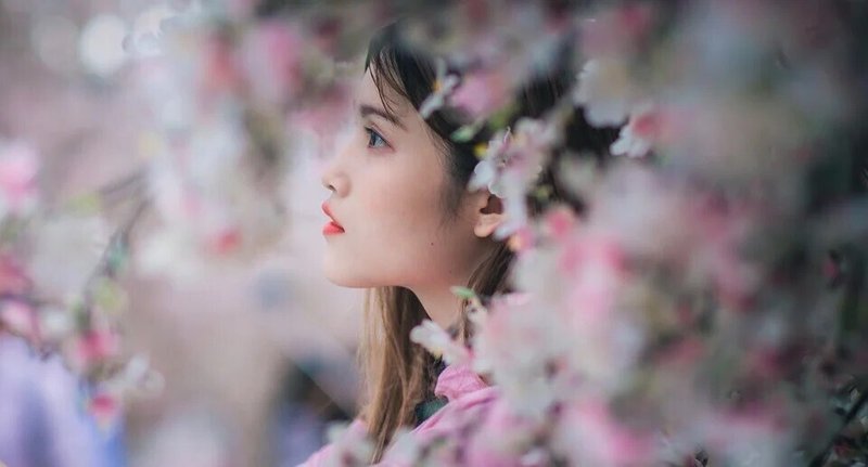 女性・桜・若い・アジア・横顔・春