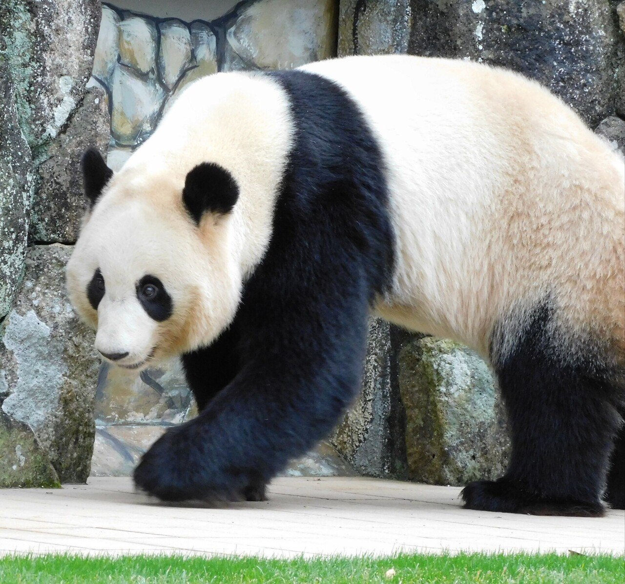 結浜 のこと りこひん Note