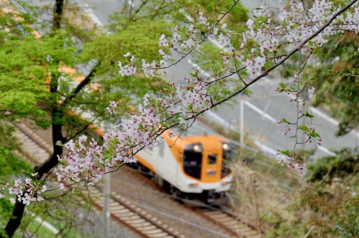 画像7
