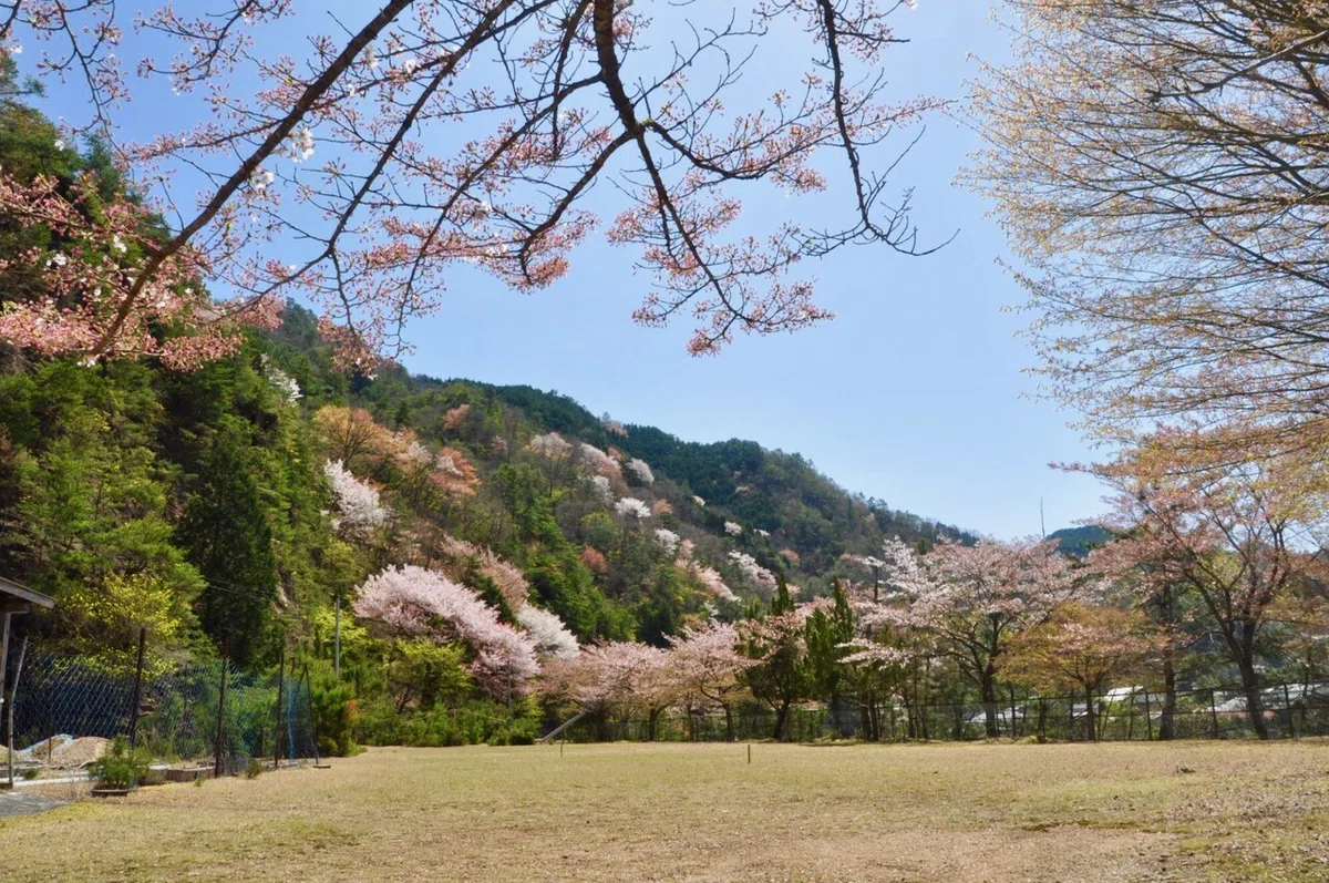画像10