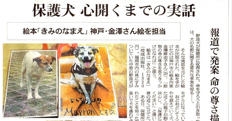 掲載 朝日新聞で紹介いただきました 絵本 きみのなまえ 金澤麻由子 Note