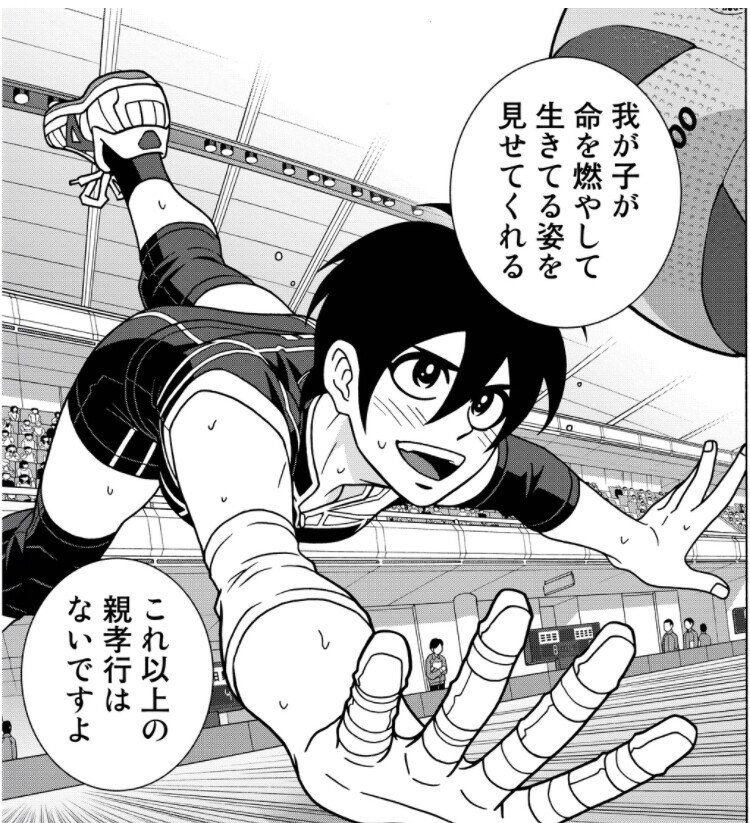 13巻 少女ファイト 既刊17巻を振り返る おがさん Note