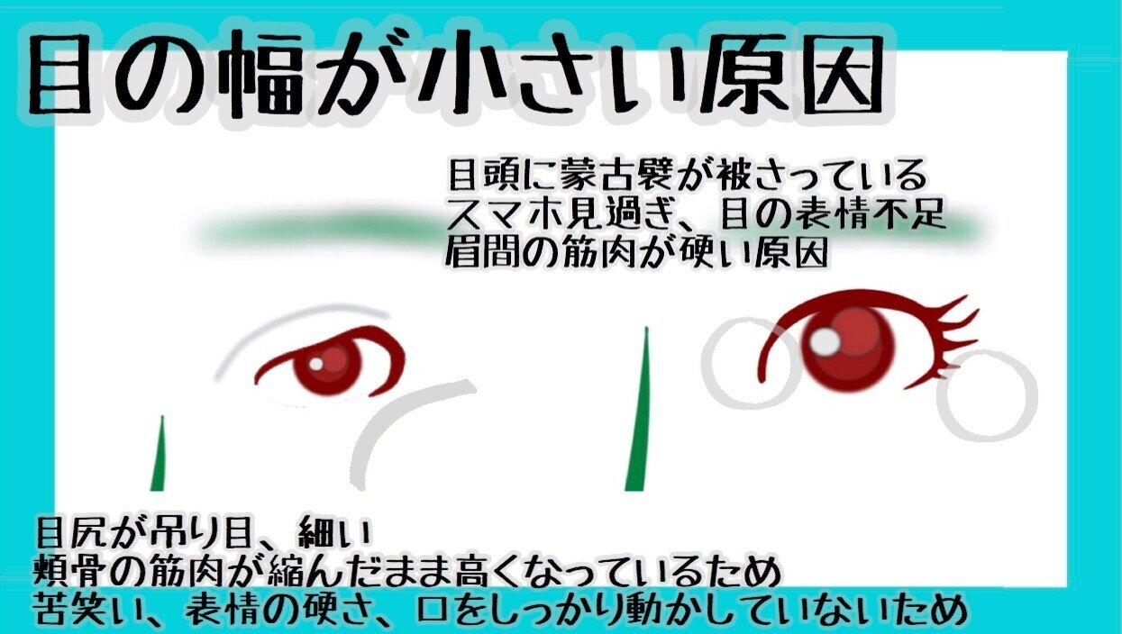 目の横幅を広げる方法 目を大きくする体操とマッサージ方法 お顔の整体師 戸塚哲春 Note 目の横幅を広げる方法 目を大きくする体操とマッサージ方法 お顔の整体師 戸塚哲春 Note