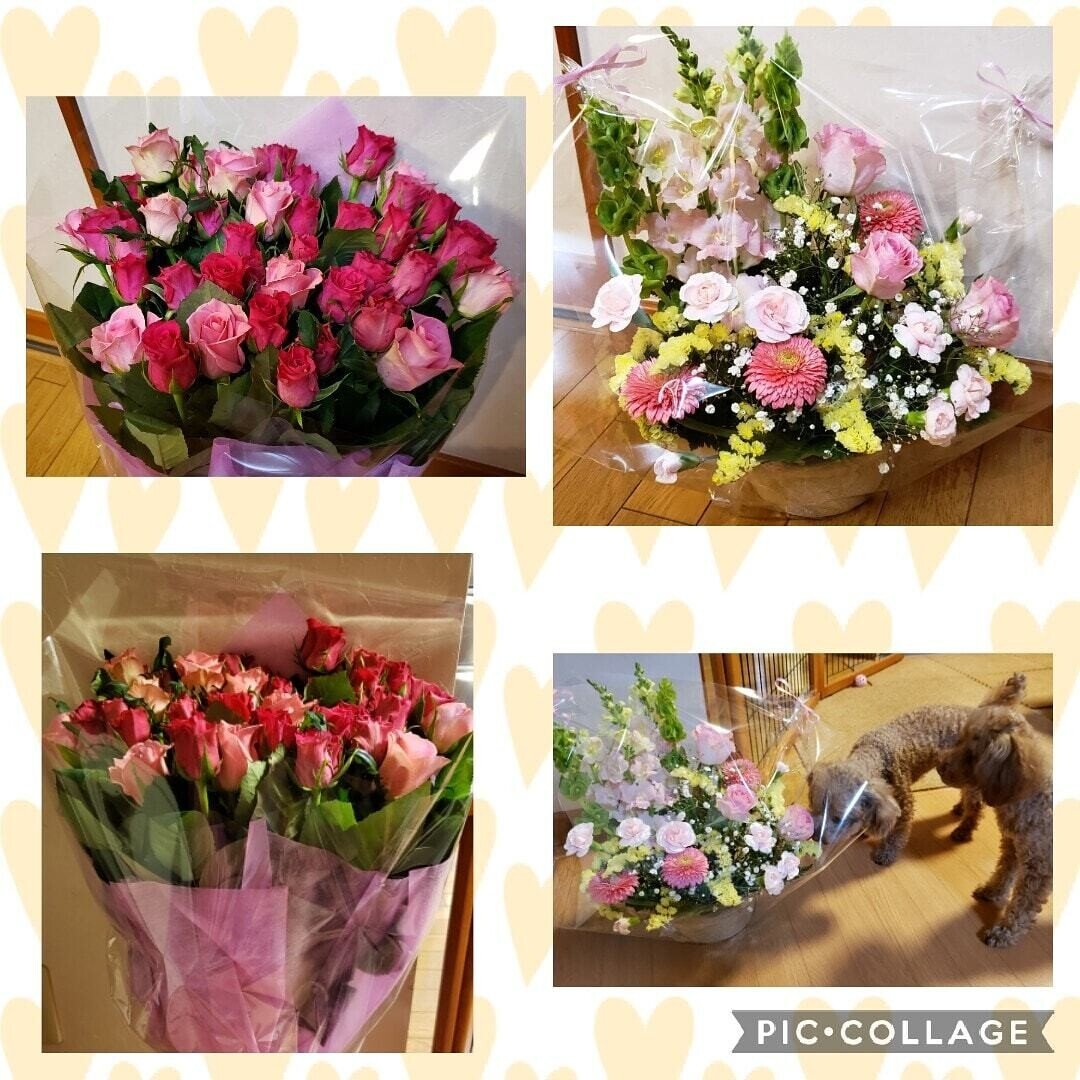 花束と感謝 先月末 大切な人から豪華な花束頂きました ありがとう 謝謝 ２週間たった今日も まだ元気に咲き誇ってるよ 時間に追われて余裕 がなかった生活卒業して 毎日お花をキレイだと思える幸せ まるち Note