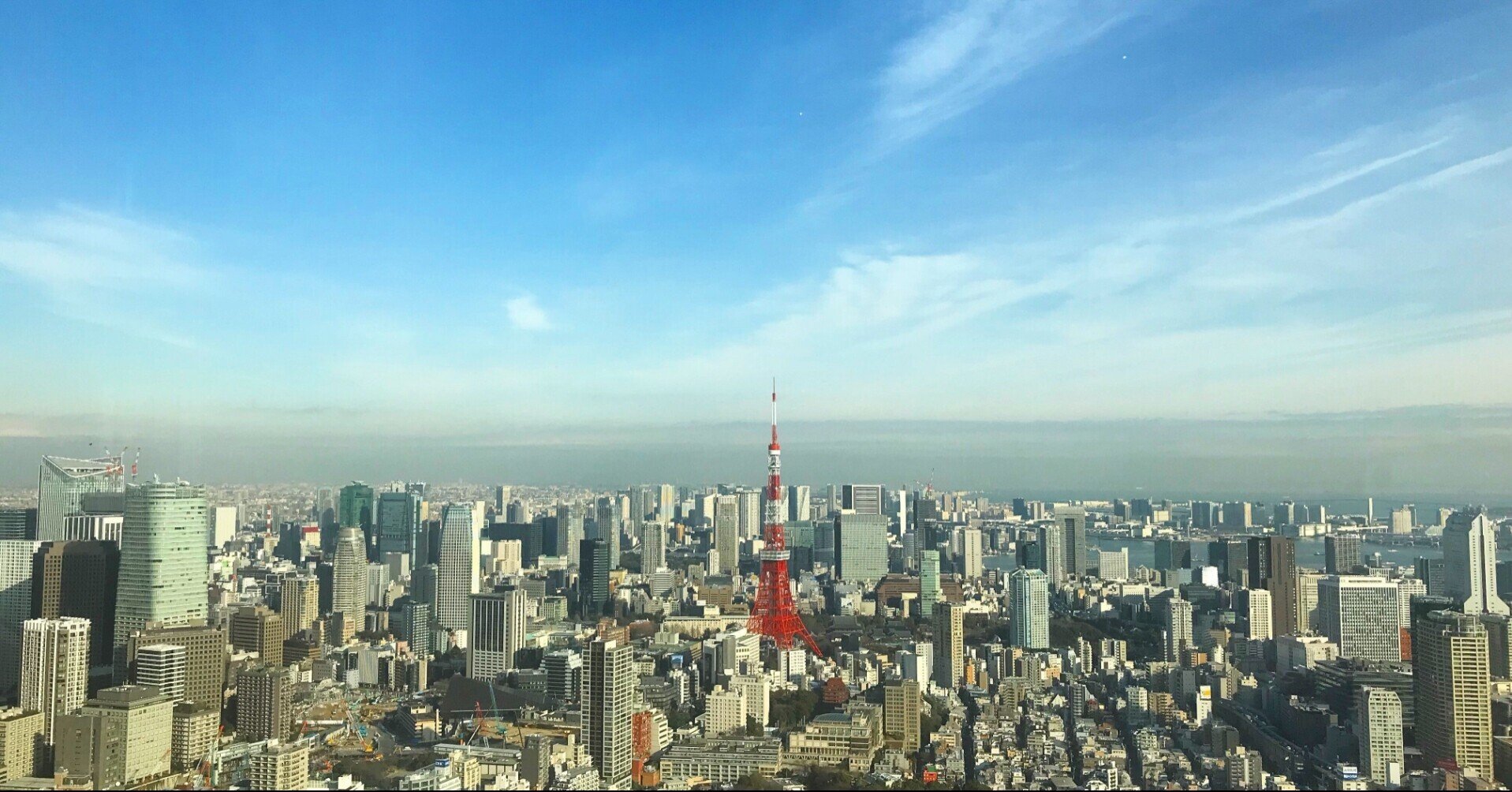 田舎育ち東京生まれ様専用