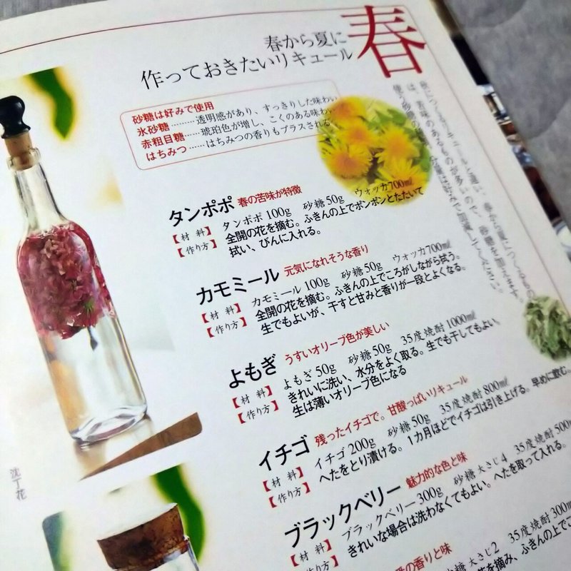 ボタニカルな自家製リキュール いろはに一歩ベーカリー お店の日常や商品開発 日々のあれこれ Note ボタニカルな自家製リキュール いろはに一歩ベーカリー お店の日常や商品開発 日々のあれこれ Note