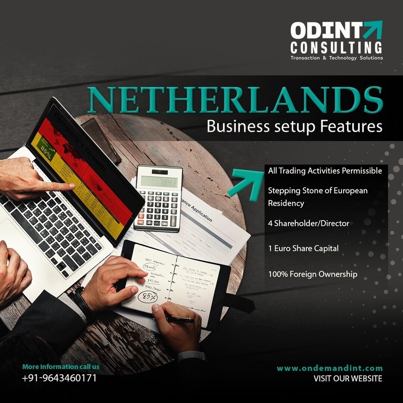 オランダの有限責任会社を設立することの利点 Odint Consulting Note