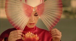 ザ・フォール/落下の王国 特別版('07米)〈2枚組〉正規購入品　廃盤　石岡瑛子 ザ・フォール/落下の王国 特別版('07米)〈2枚組〉正規購入品