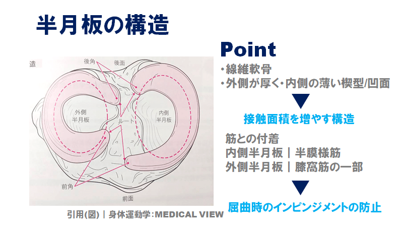 半月板損傷術後 競技復帰に向けた戦略 佐藤 康 Note