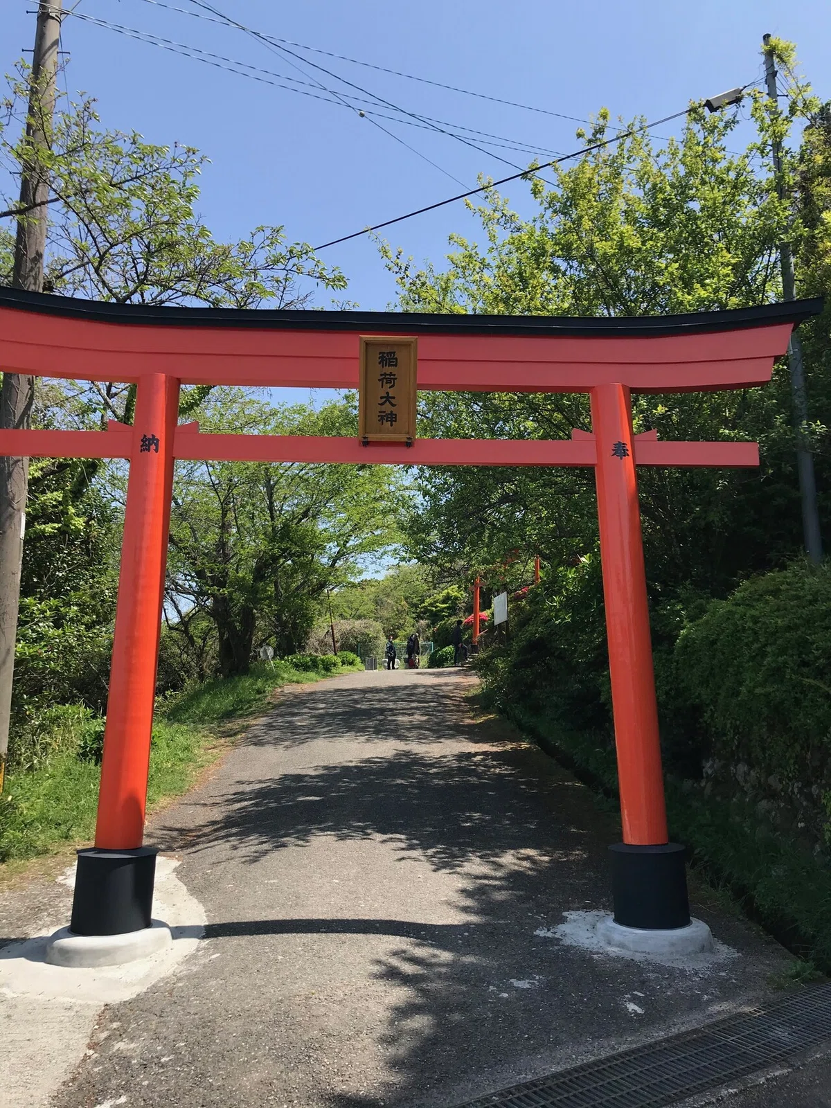 画像6