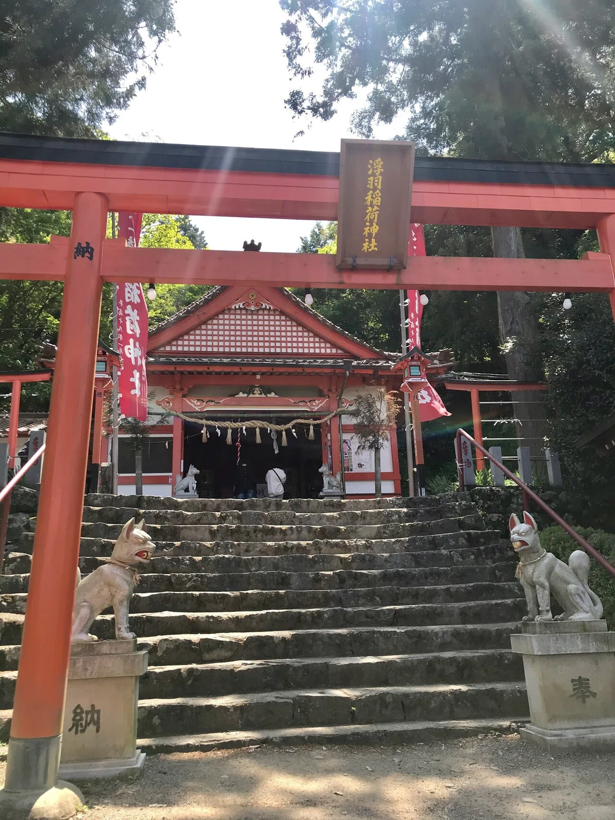 画像7