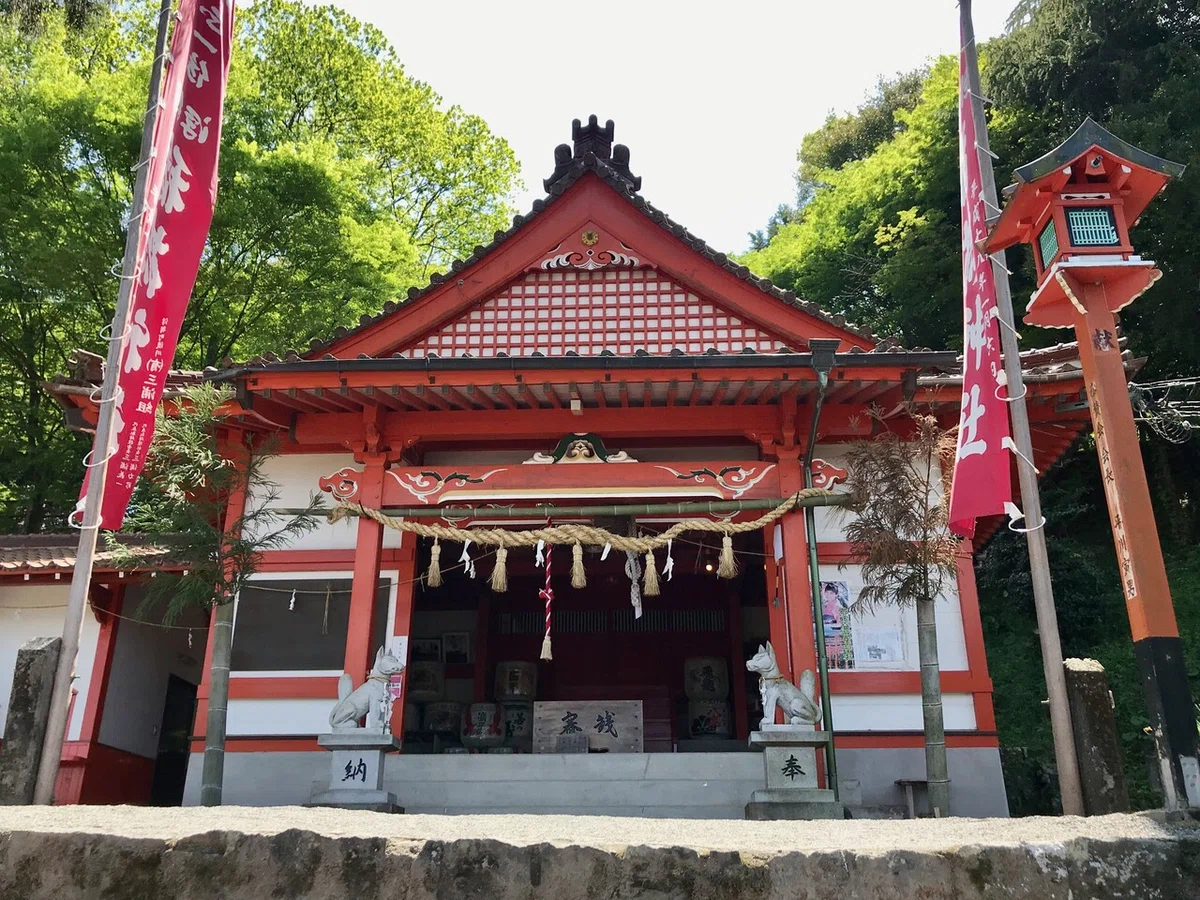 画像8