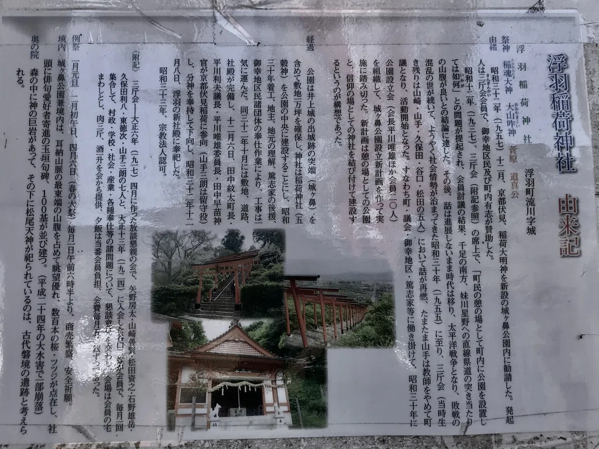 画像9