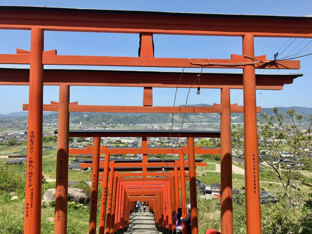 画像12