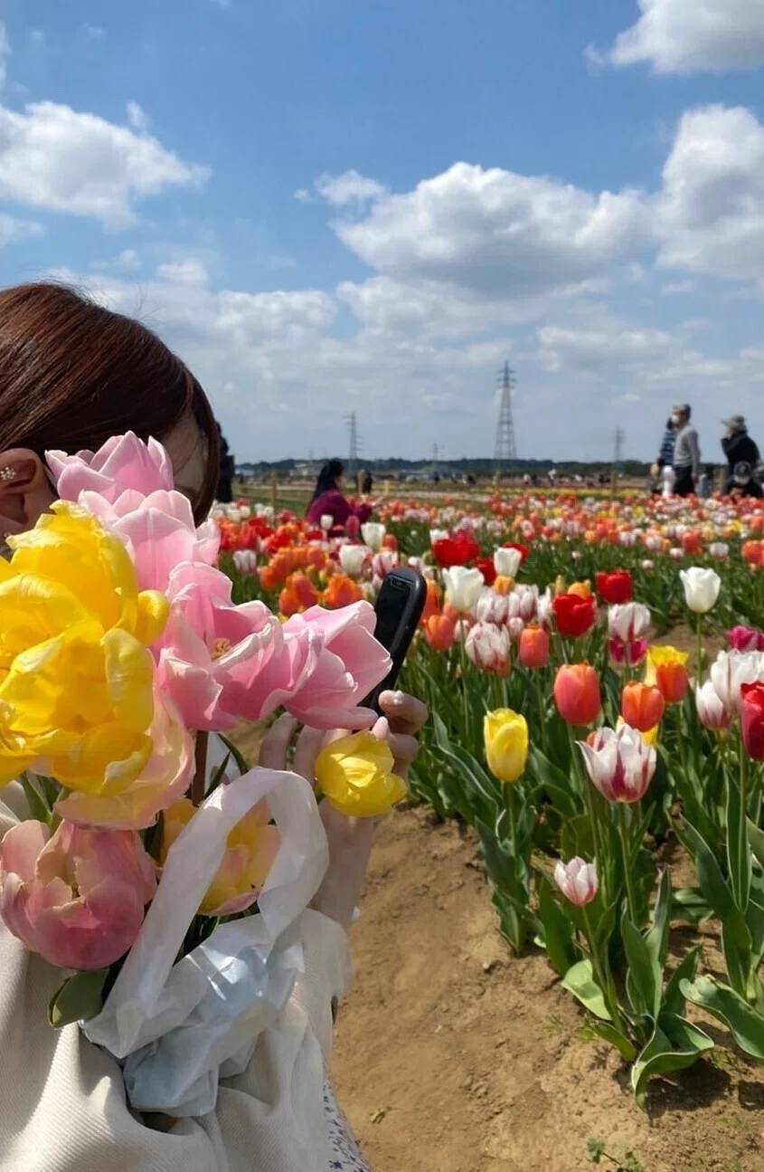 画像13