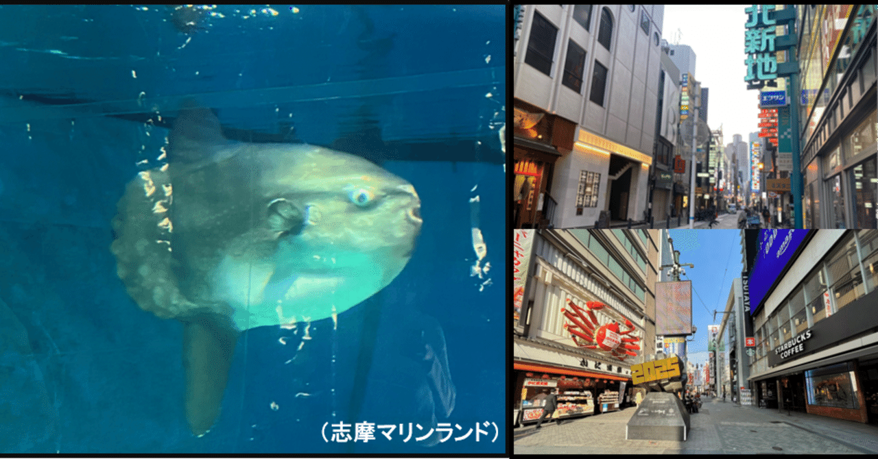 マンボウ ショックの正体 池永寛明 元大阪ガスネットワーク 株 エネルギー 文化研究所 マンボウ ショックの正体 池永寛明 元大阪ガスネットワーク 株 エネルギー 文化研究所