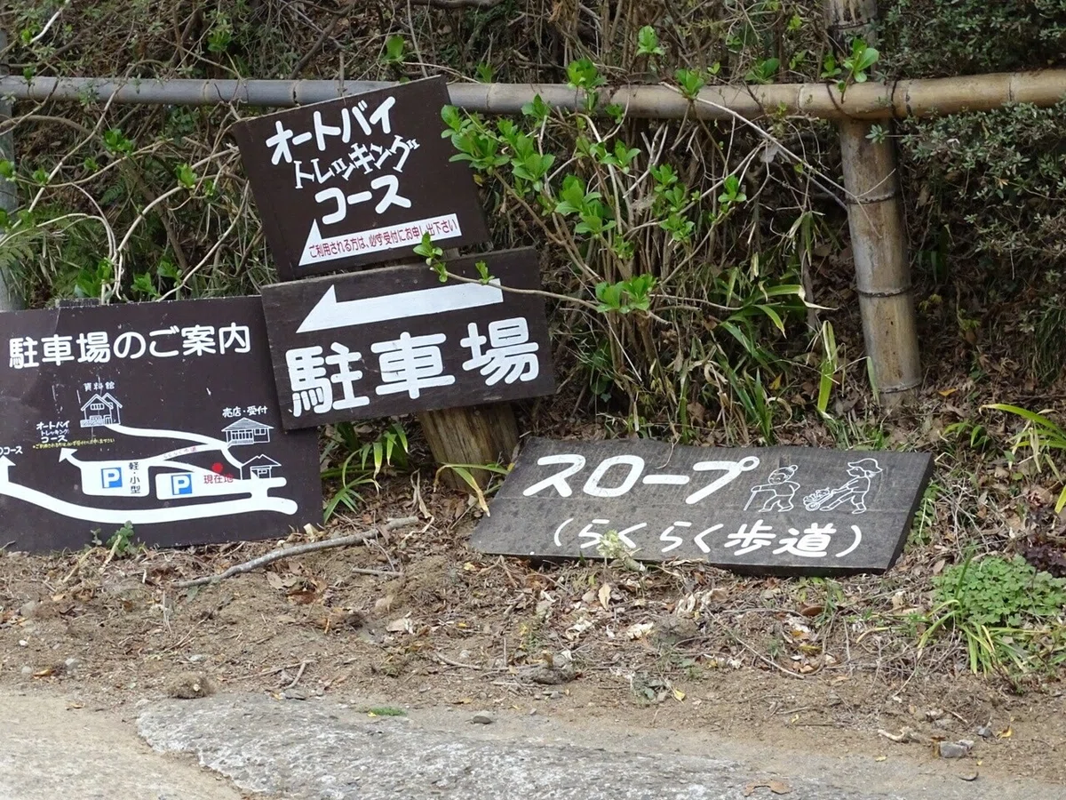 画像1