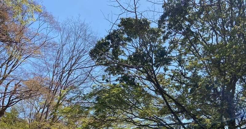 前向きになりたい時 の新着タグ記事一覧 Note つくる つながる とどける 前向きになりたい時 の新着タグ記事一覧 Note つくる つながる とどける