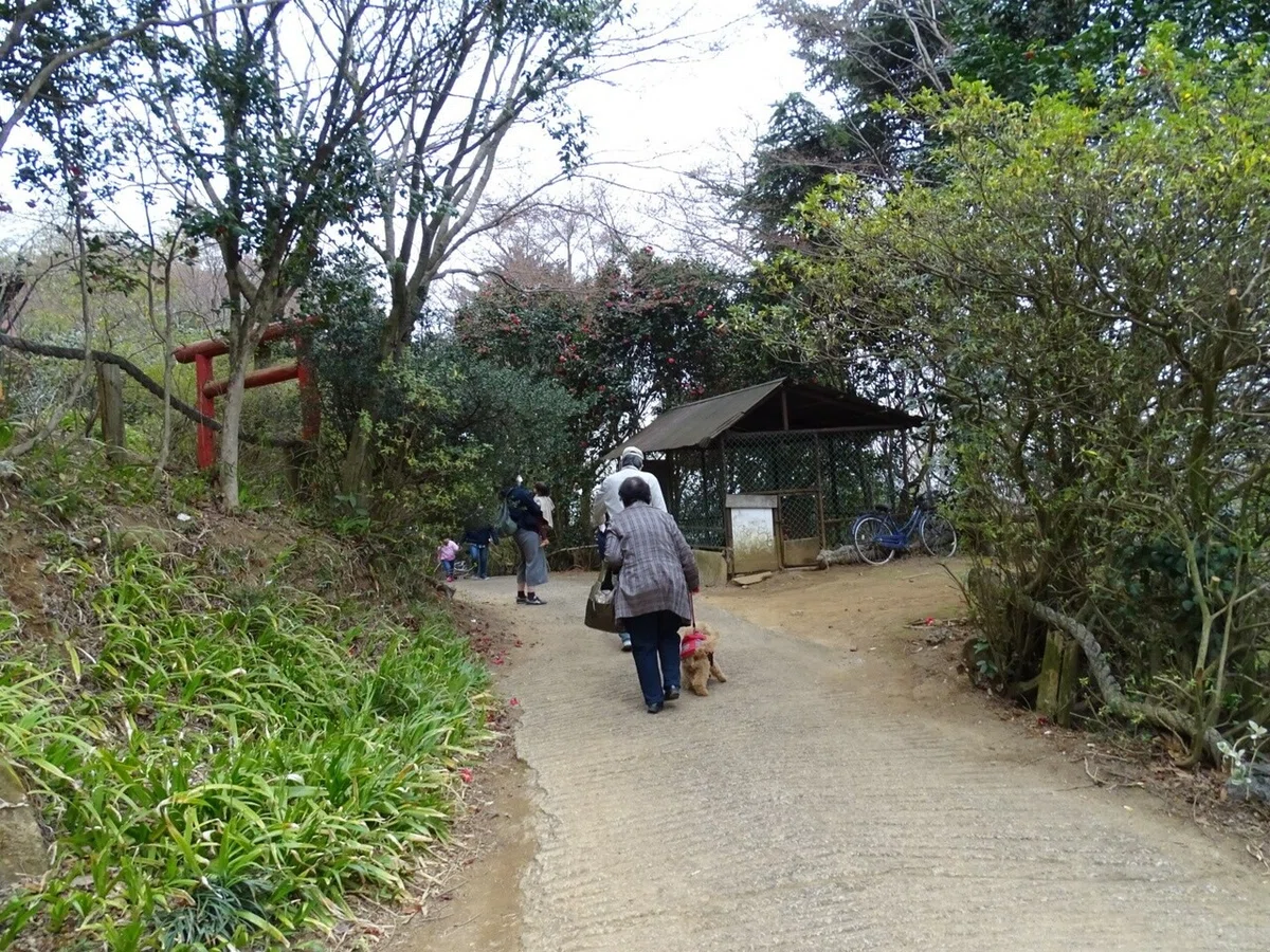 画像9