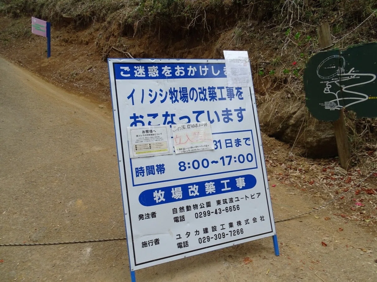 画像10