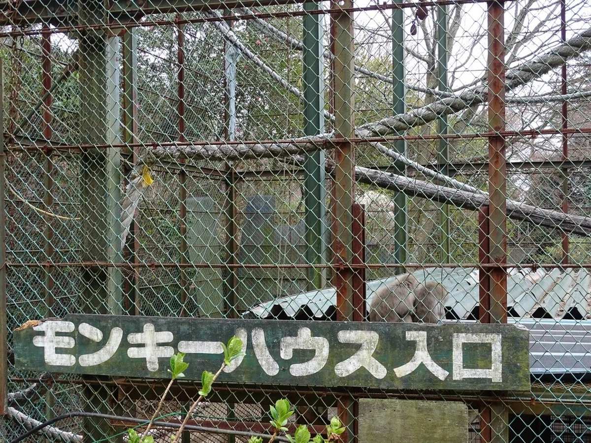 画像11