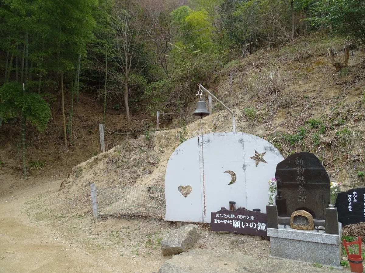 画像13