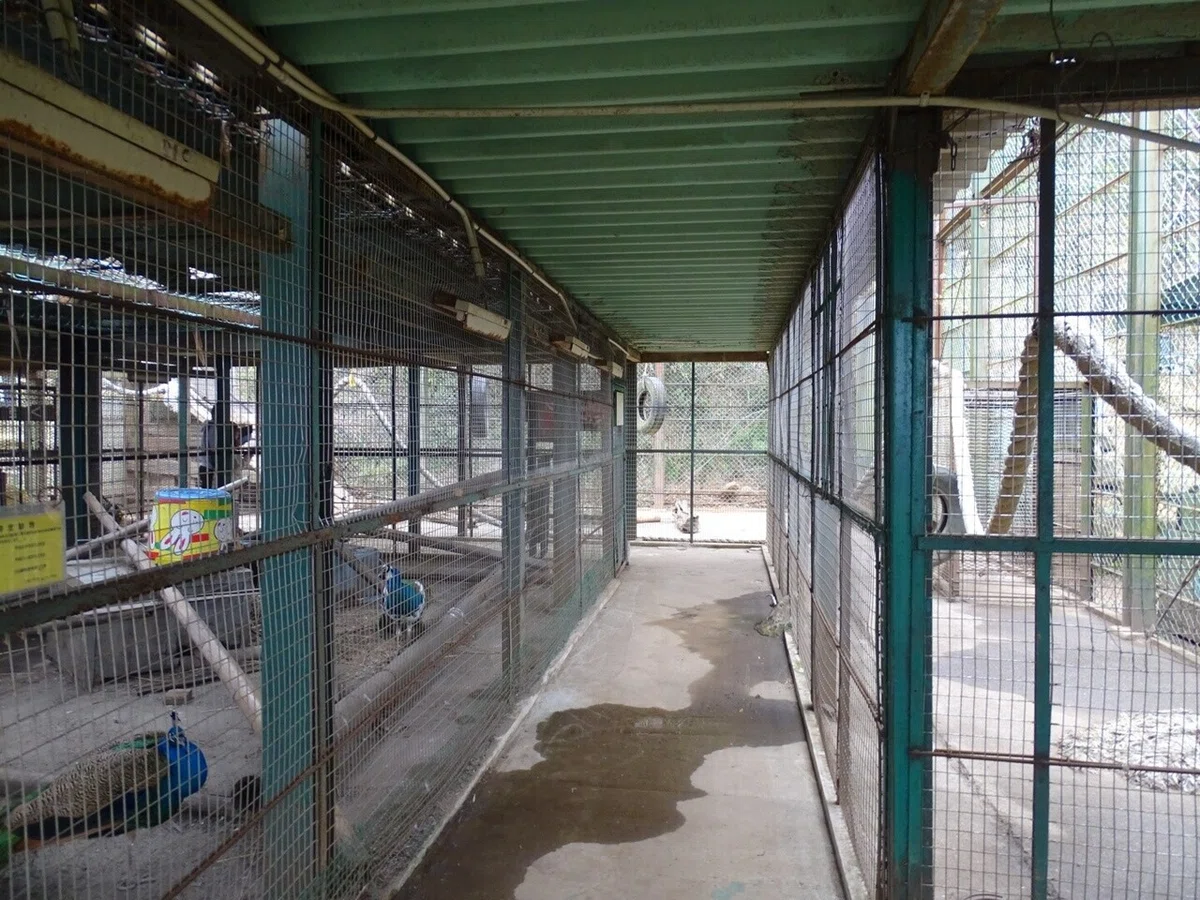 画像16
