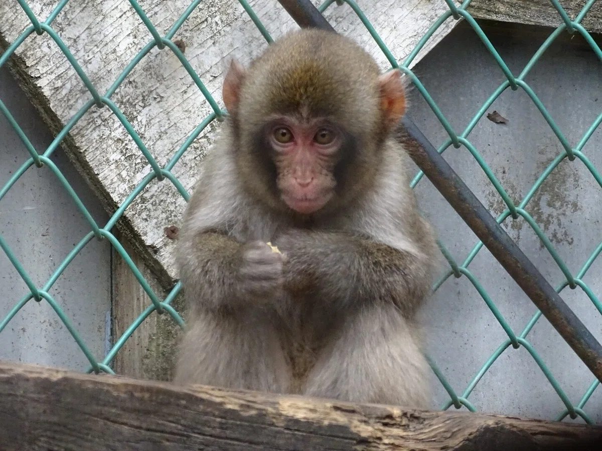 画像23