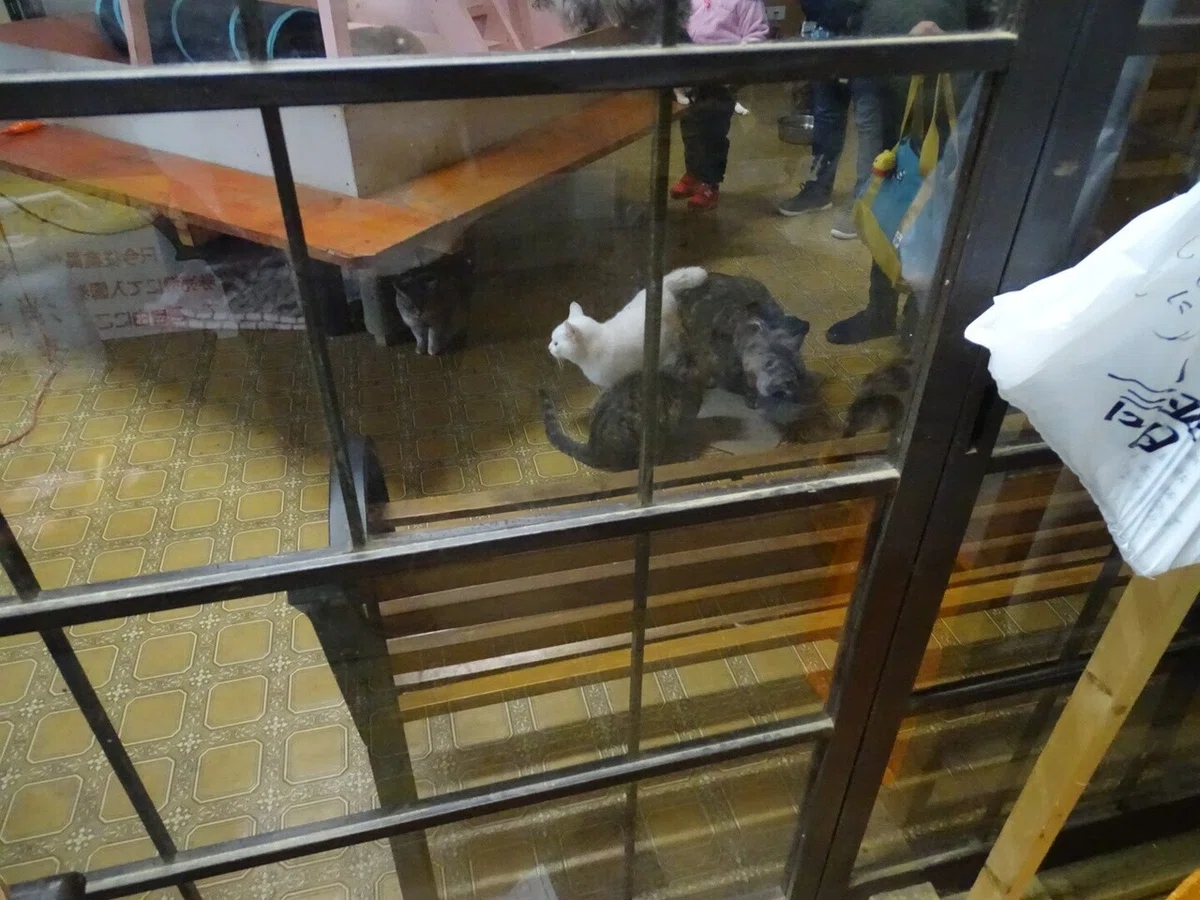 画像25