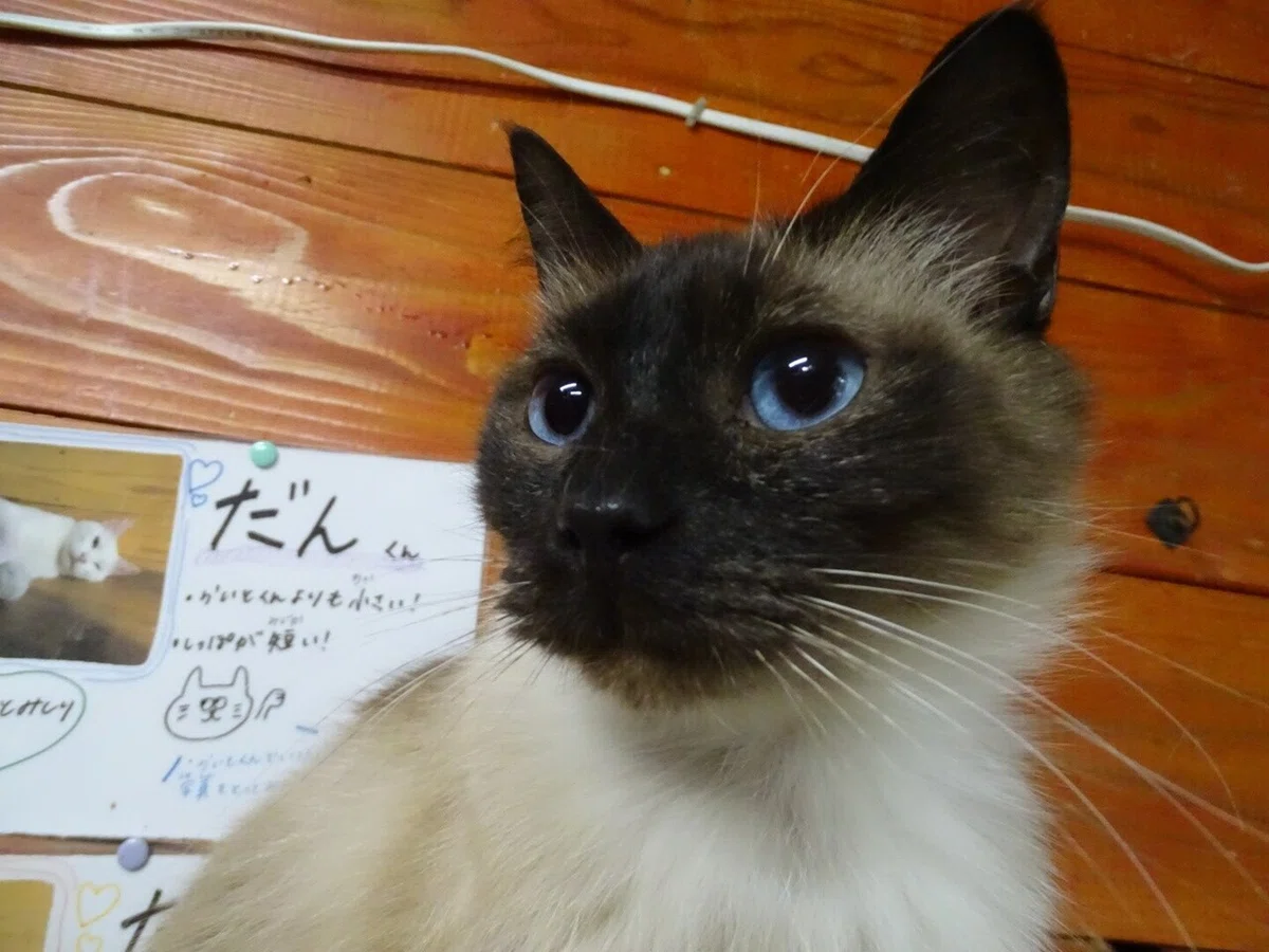画像26